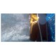 Robot Dolphin Echo E20